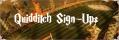 quidditch2.jpg